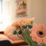 Italianway Comfort - Bergamo 11 A